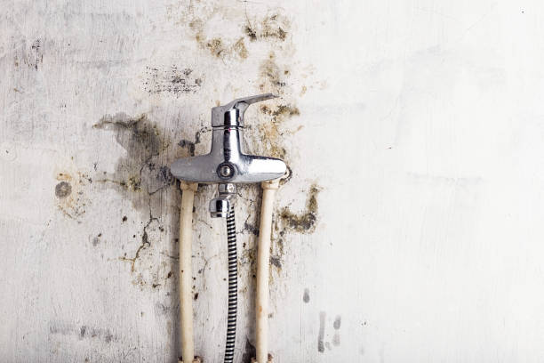 Mold Removal Process in Fairfield Bay, AR