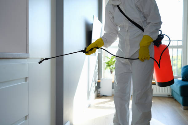 Water Damage Restoration in Fairfield Bay, AR